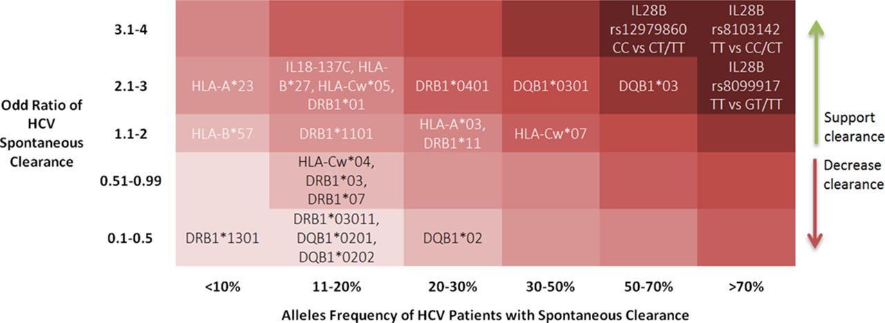 IDDF2019-ABS-0125 Host genetic factors associated with hepatitis C ...