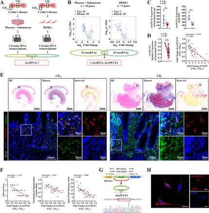 Fibroblast pentose phosphate pathway activation upon decreased